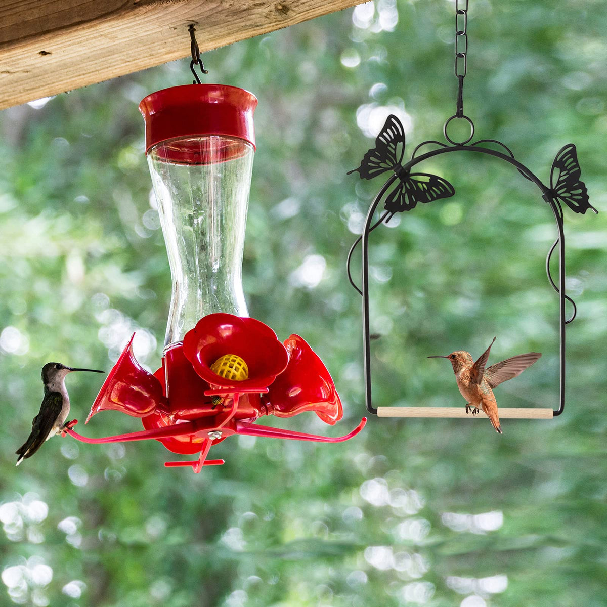TopWoot hummingbird swing frame closeup shows a rust-resistant metal frame.