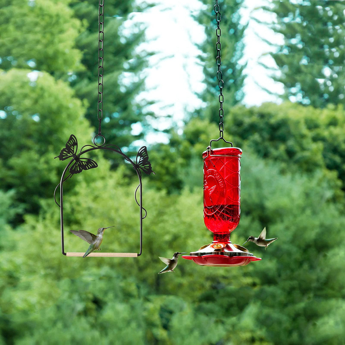 TopWoot hummingbird swing gift-packaging ideal for gifting wildlife lovers.