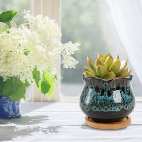 TOPZEA 4-inch green glazed succulent pot blends with foliage
