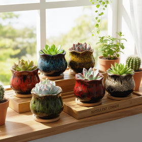 TOPZEA 4-inch white glazed succulent pot clean contrast for greens