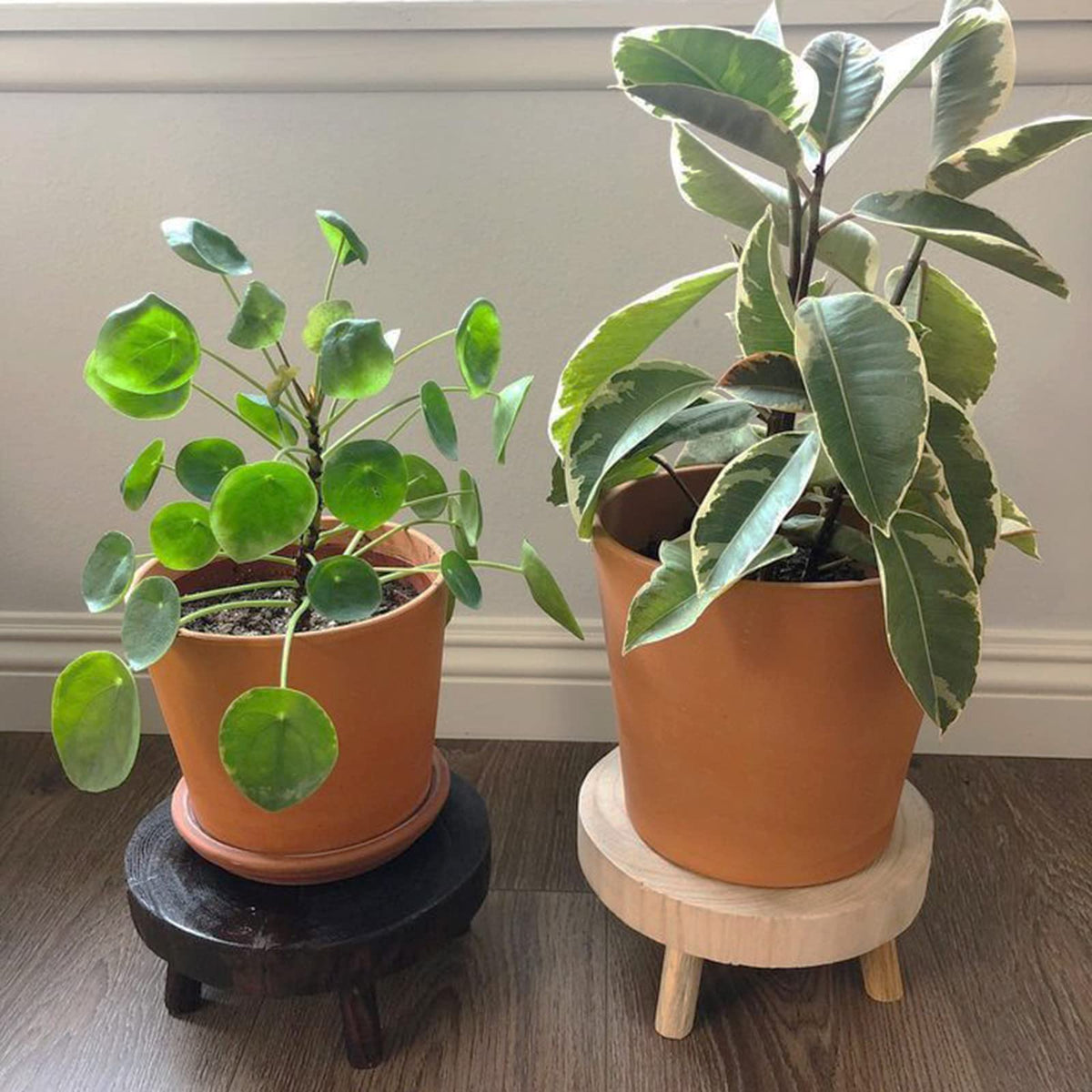TOPZEA rustic wooden riser for pots adds height and stability