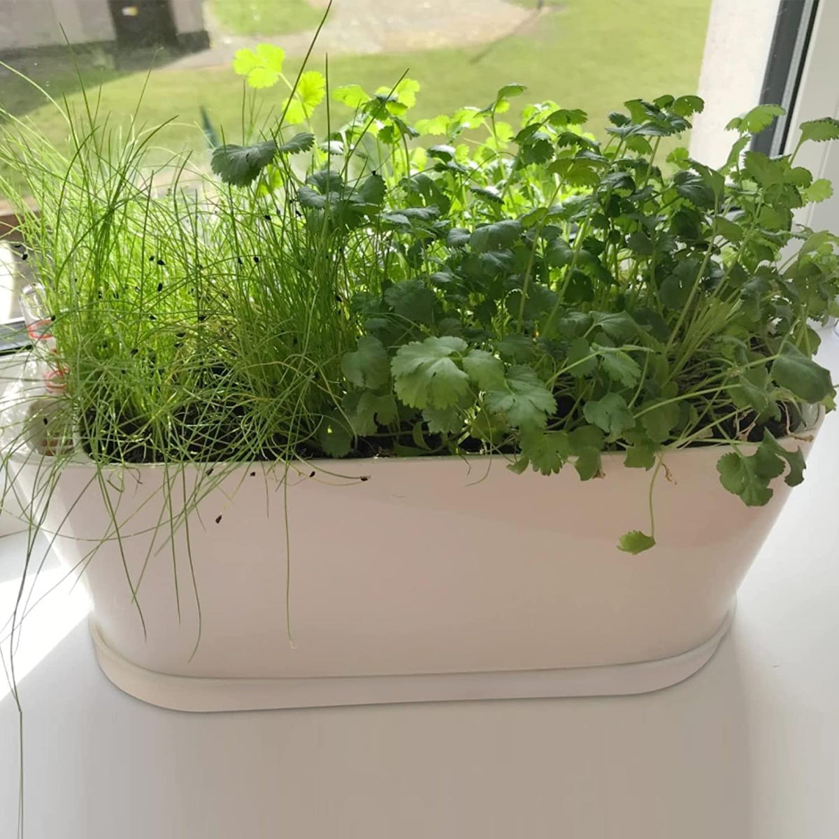 Torfican window box set ideal for succulents and herbs.