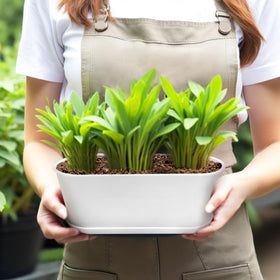 Torfican window box planters inspire easy DIY labeling.
