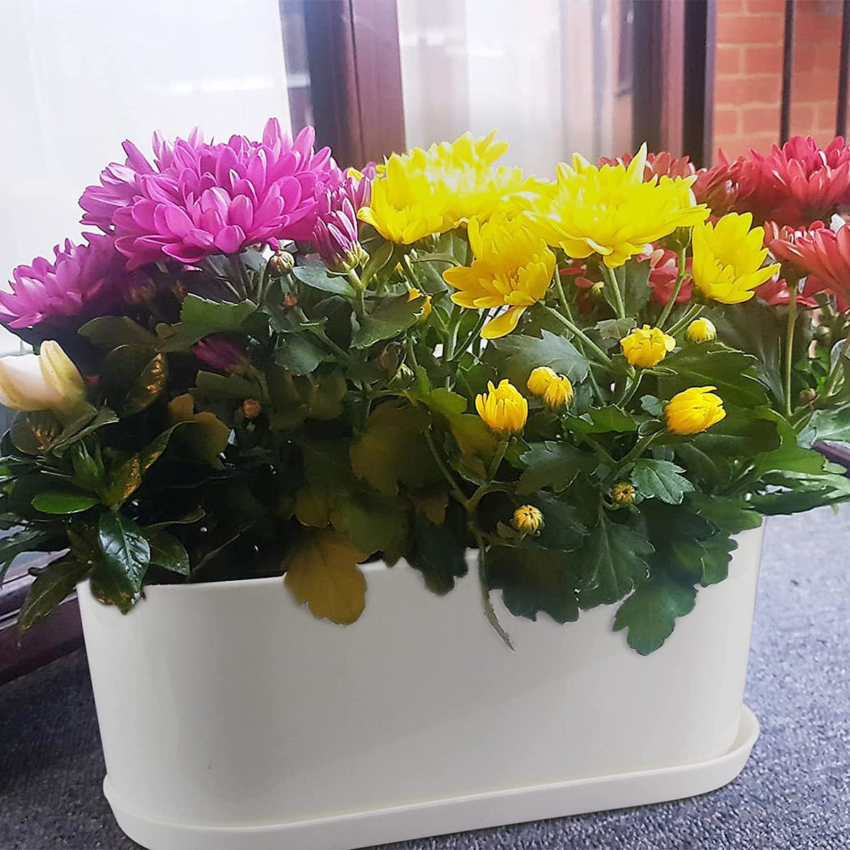 Torfican minimalist rectangular planter blends with modern decor.