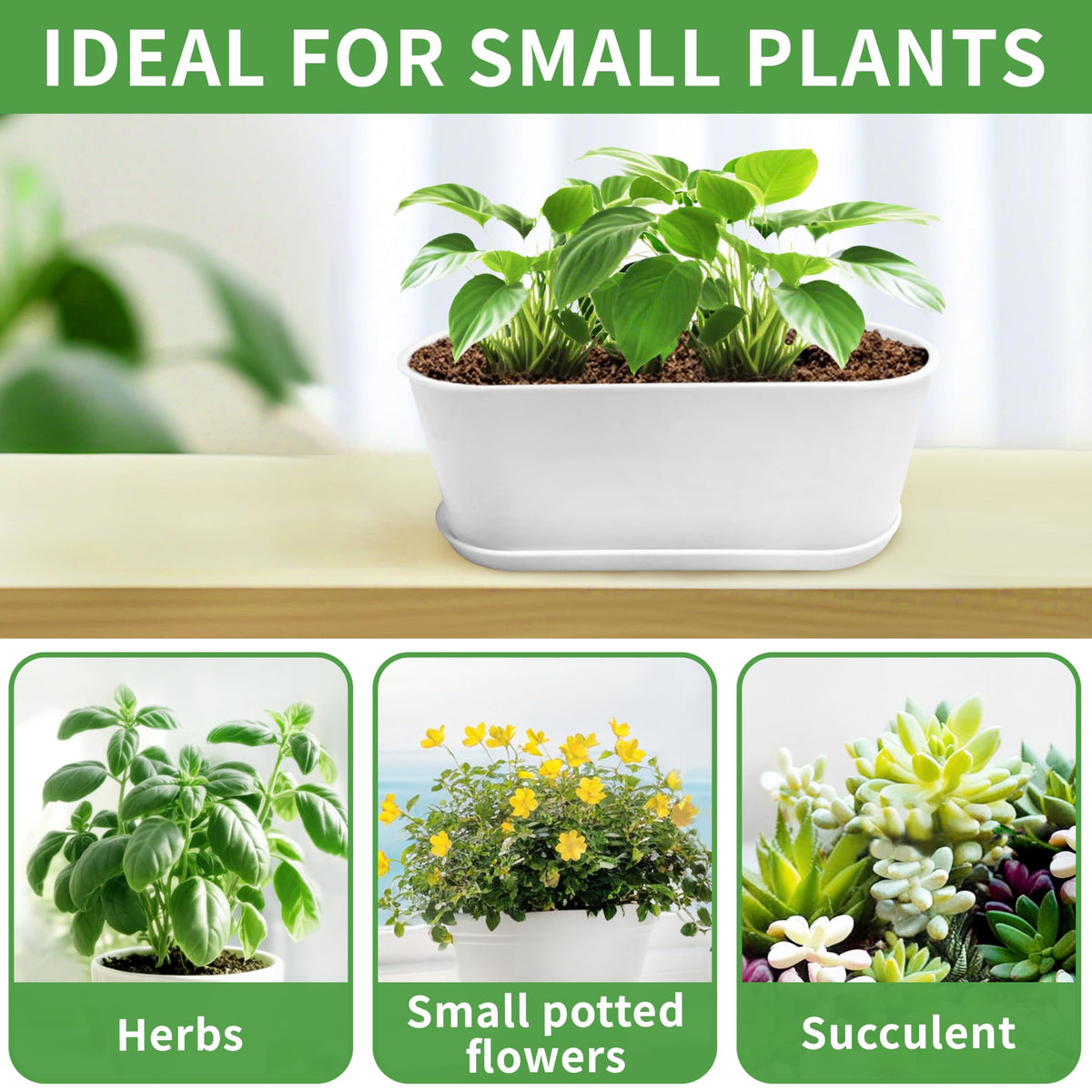 Torfican white planters brighten windowsills and spaces.