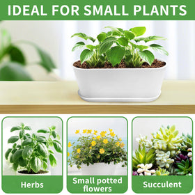 Torfican white planters brighten windowsills and spaces.