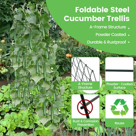 Toriexon A-frame design supports climbing vegetables in a compact space