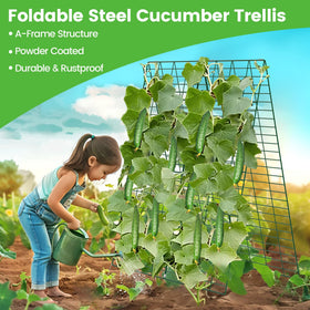 Toriexon A-frame plant support trellis enhances garden space efficiency.