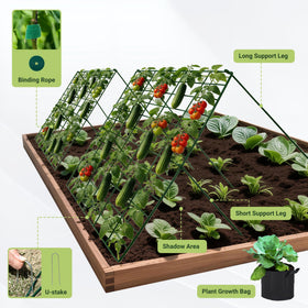 Toriexon A-frame trellis front view highlights robust frame.