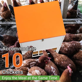 Toriexon feeder supports up to 10 chickens feeding concurrently.