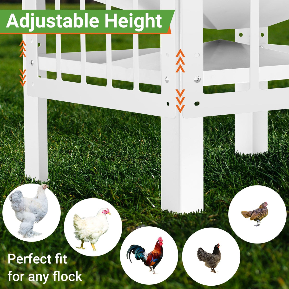 Toriexon stainless handles enable easy transport around the coop.