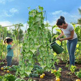 Toriexon compatibility with raised beds enhances garden organization and yield potential