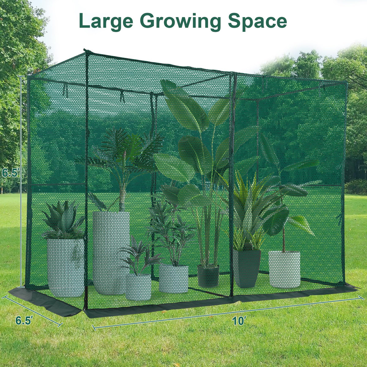 Toriexon Crop Cage frame structure provides sturdy support for tall crops.