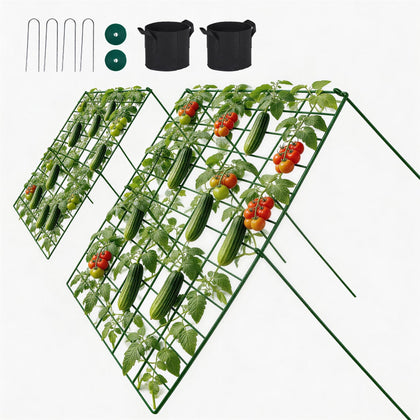 Toriexon cucumber trellis assembly demonstrates quick setup and sturdy plant support.