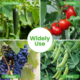 Toriexon Durable Anti-Rust Garden Trellis blends with any landscape.