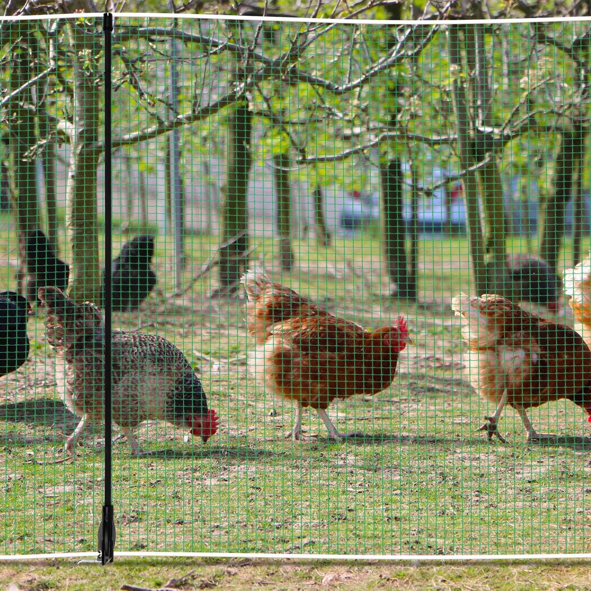 Toriexon durable PE wire mesh withstands daily outdoor use.