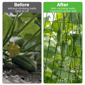 Toriexon foldable cucumber trellis with spring connectors offers adjustable stability