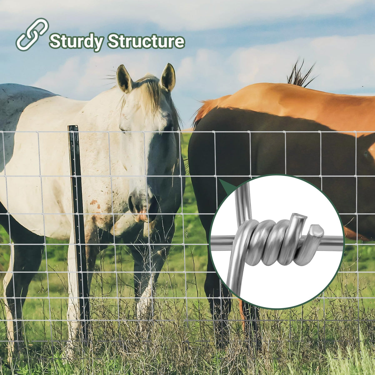 Toriexon gradient mesh design reduces bottom gaps for small animals.
