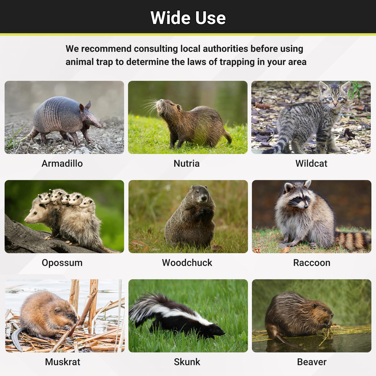 Toriexon live animal trap application use shows medium wildlife capture in action