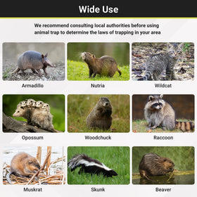 Toriexon live animal trap application use shows medium wildlife capture in action