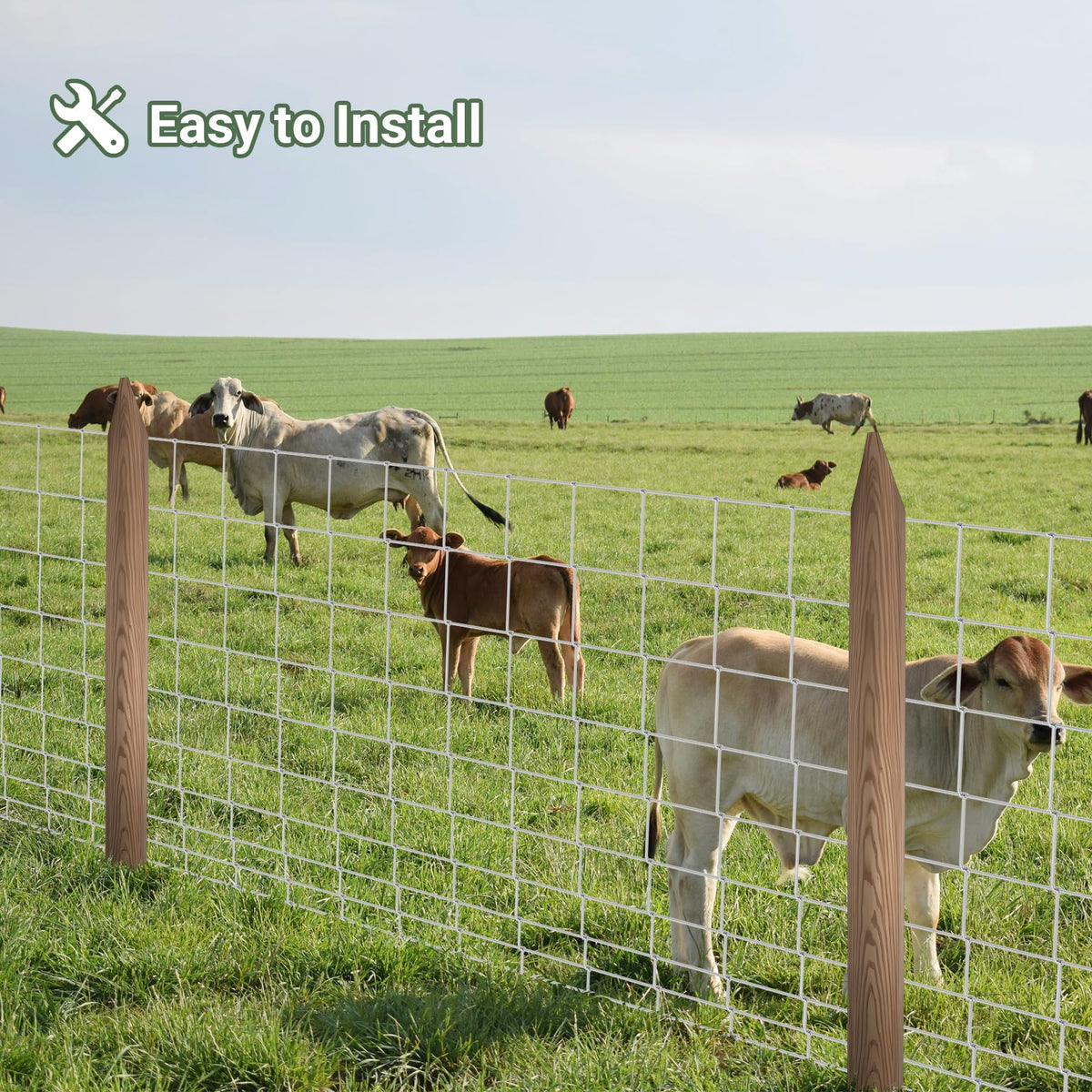 Toriexon livestock fence protecting poultry and pets on a farm.