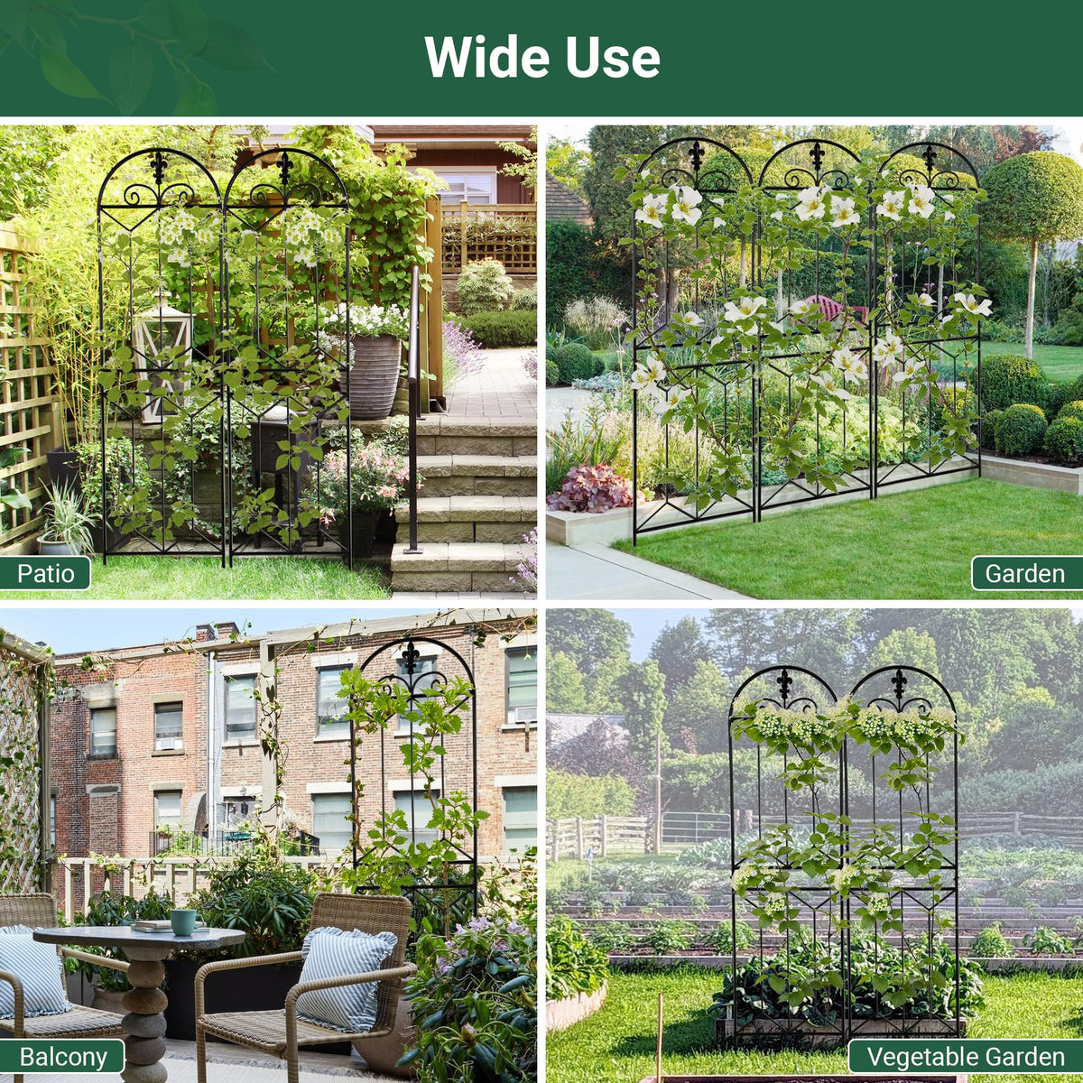 Toriexon flower and vine support enhances blooms along vertical trellis