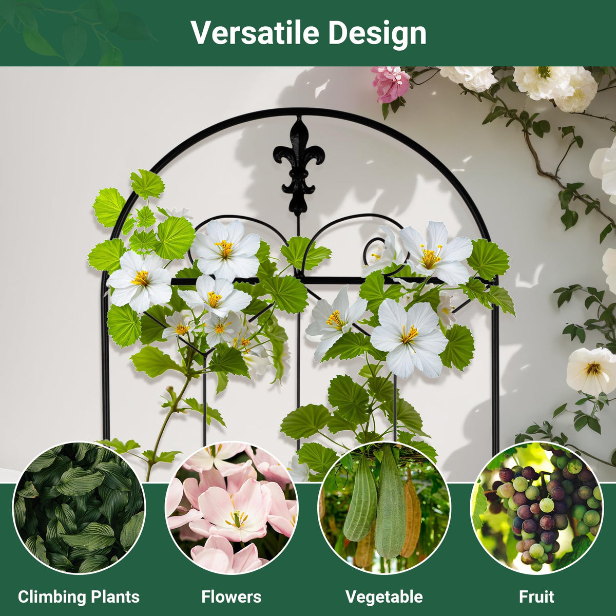 Toriexon outdoor trellis demonstrates vegetable-vine training in a tidy layout
