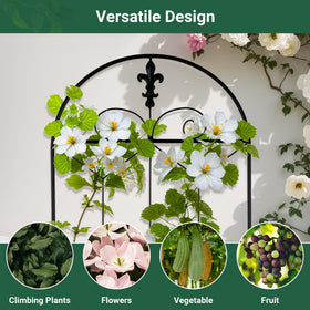 Toriexon outdoor trellis demonstrates vegetable-vine training in a tidy layout