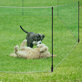 Toriexon temporary fence chickens-and-ducks setup protects poultry and garden