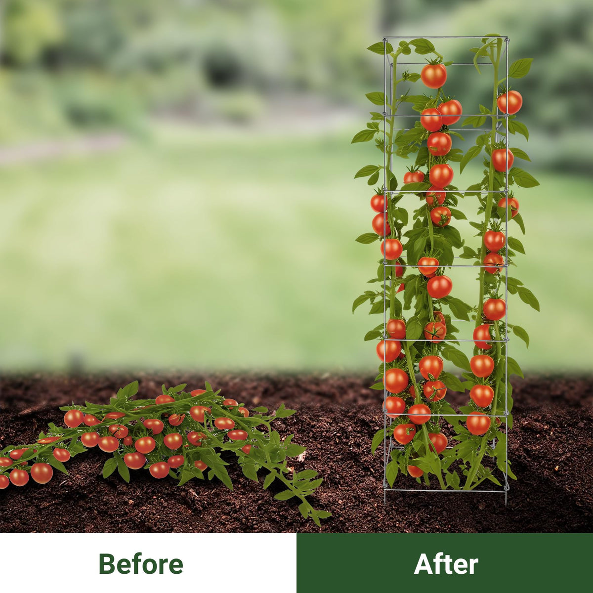 Toriexon tomato cage folded-storage demonstrates easy, compact storage after season.