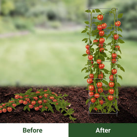 Toriexon tomato cage folded-storage demonstrates easy, compact storage after season.