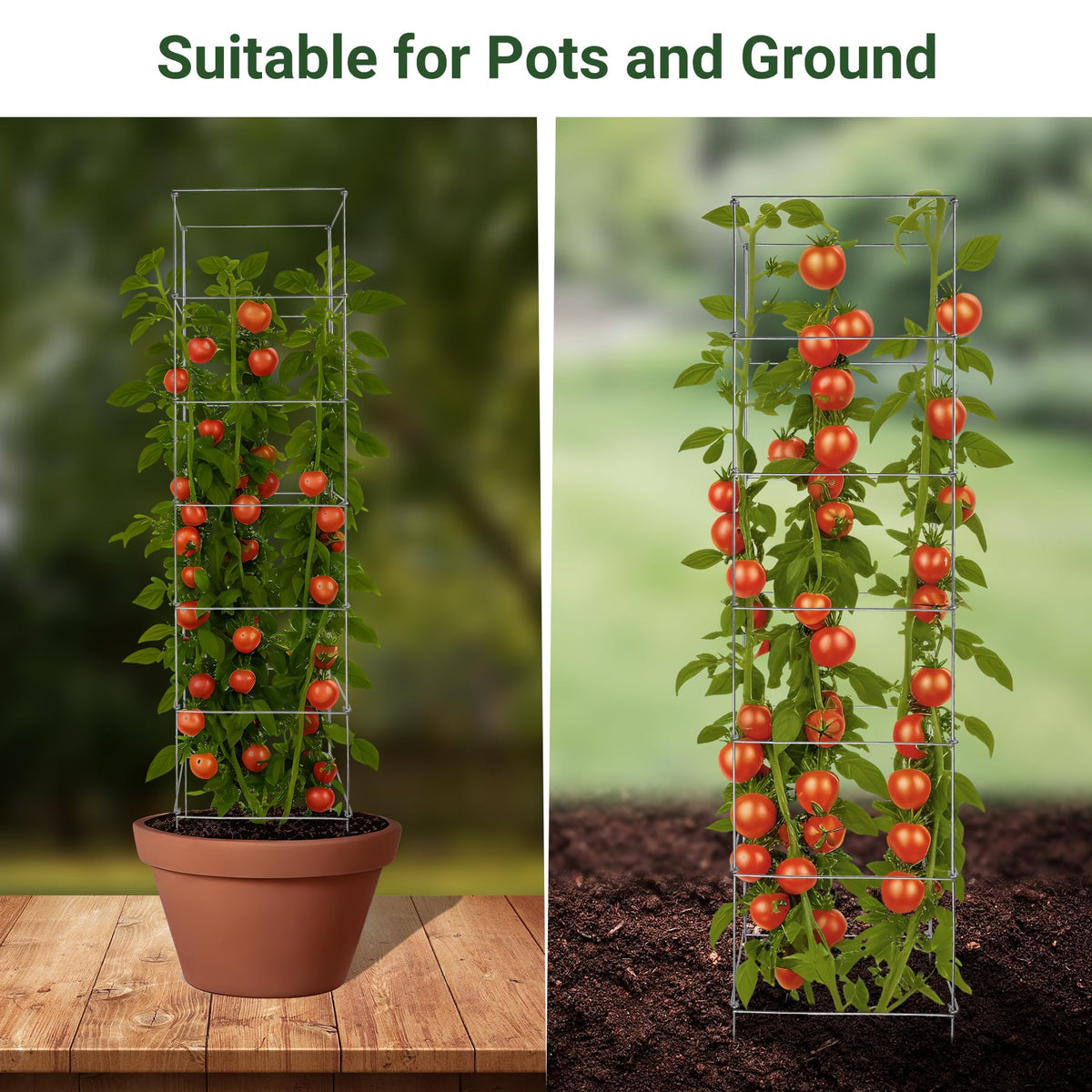 Toriexon tomato cage garden-use supports tomatoes, cucumbers, beans, and peppers.