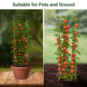 Toriexon tomato cage garden-use supports tomatoes, cucumbers, beans, and peppers.