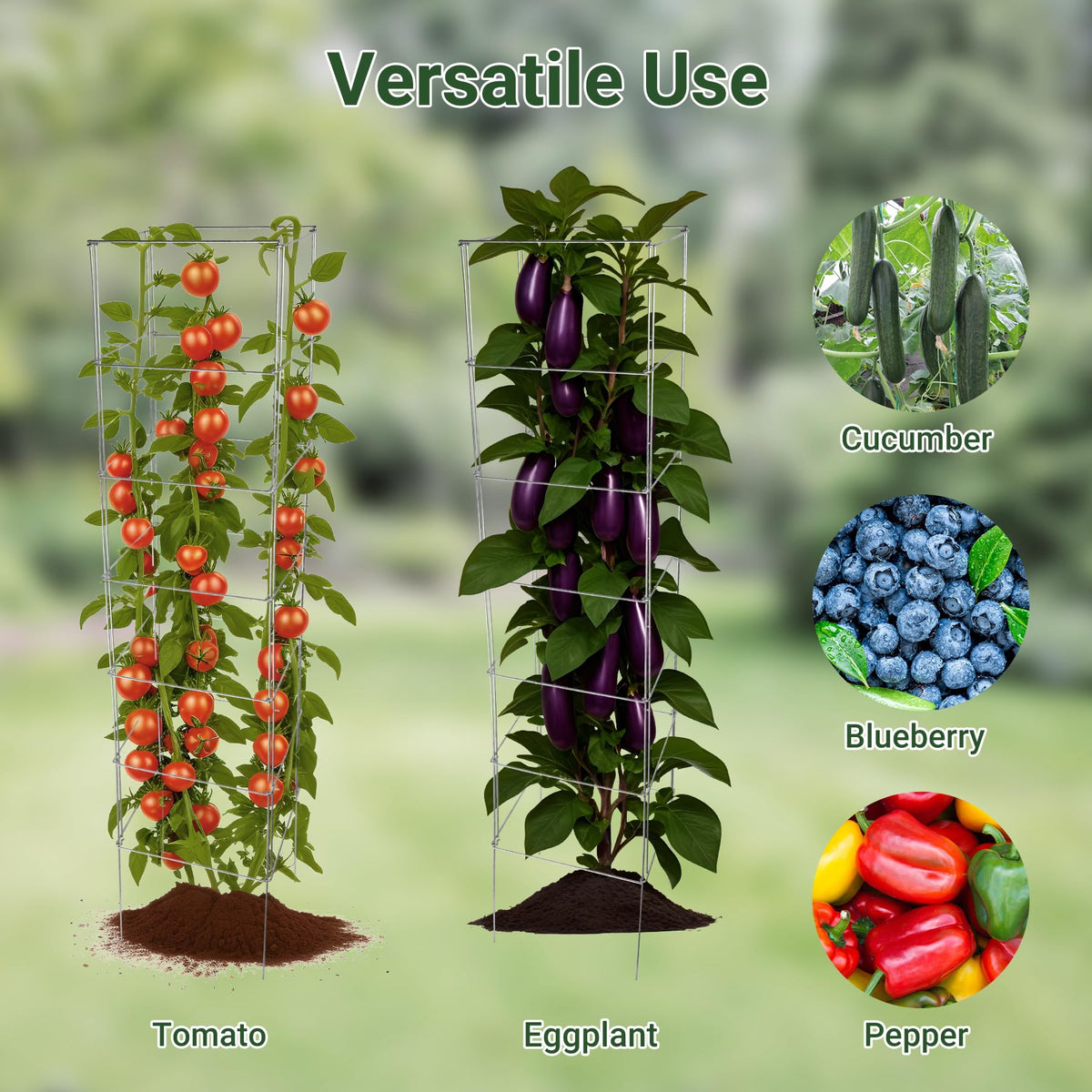 Toriexon tomato cage multi-shape-setup enables flexible garden configurations.