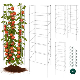 Toriexon tomato cage wind-protection helps keep plants upright on breezy days.
