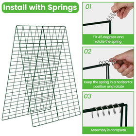 Toriexon U-stakes provide stable grounding for trellis.