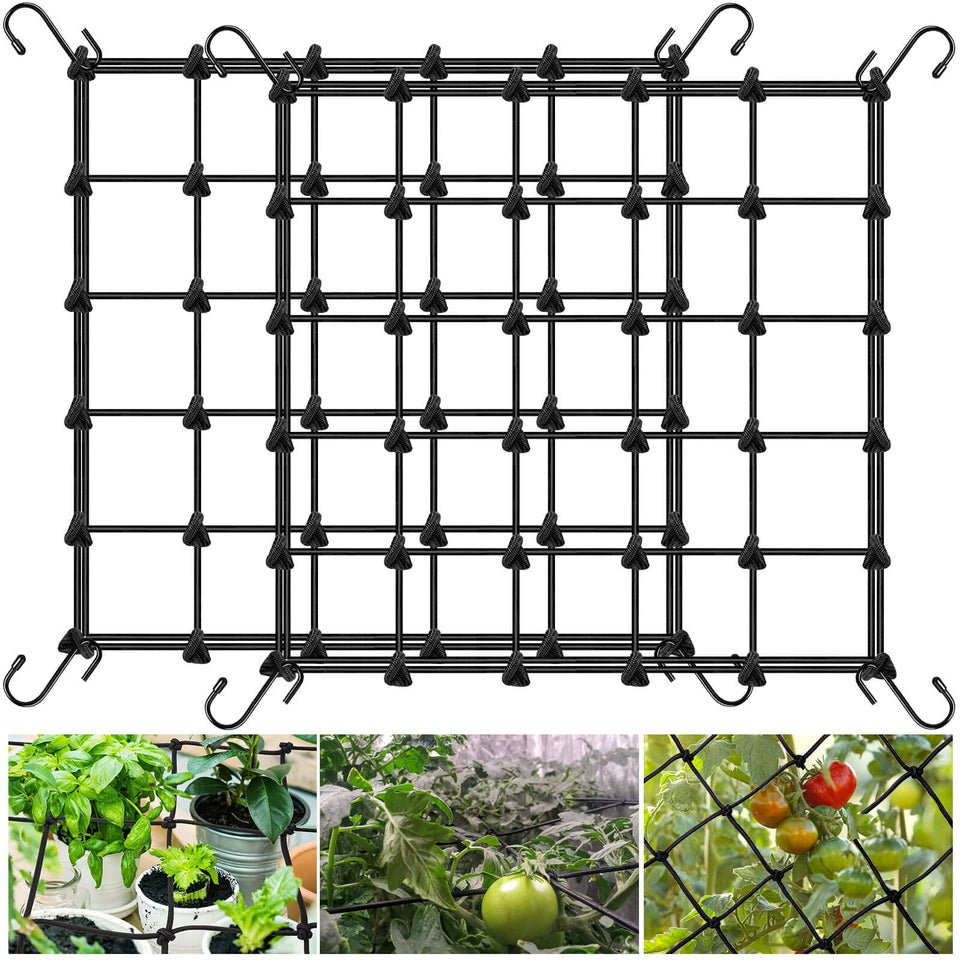 TORINALITAL 2x2 trellis net in grow tent provides sturdy plant support.