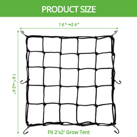TORINALITAL grow tent setup with trellis illustrates organized plant support.