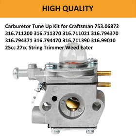 Tormudaca spark plug for carburetor kit, improves ignition reliability