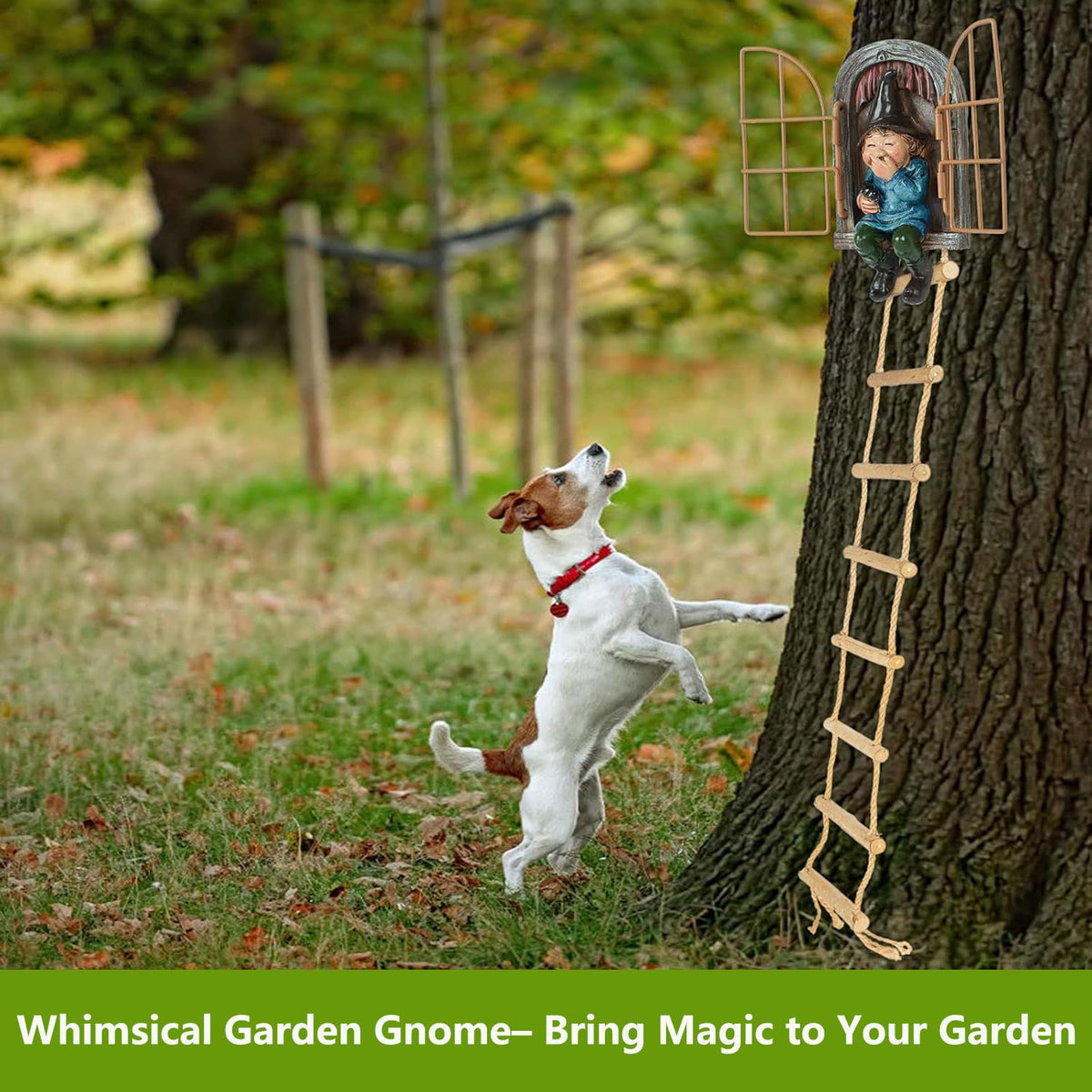 Toromiu elf out the door tree hugger sits playfully on a branch