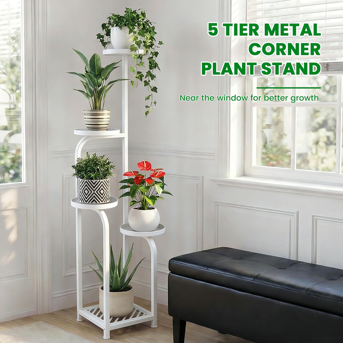 TOSKING indoor outdoor versatility for decor and greenery
