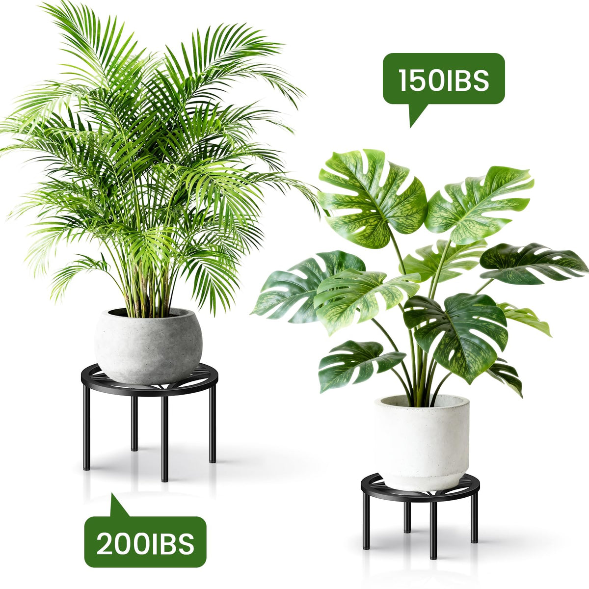 TOSKING two large and one medium stands offer versatile display options.
