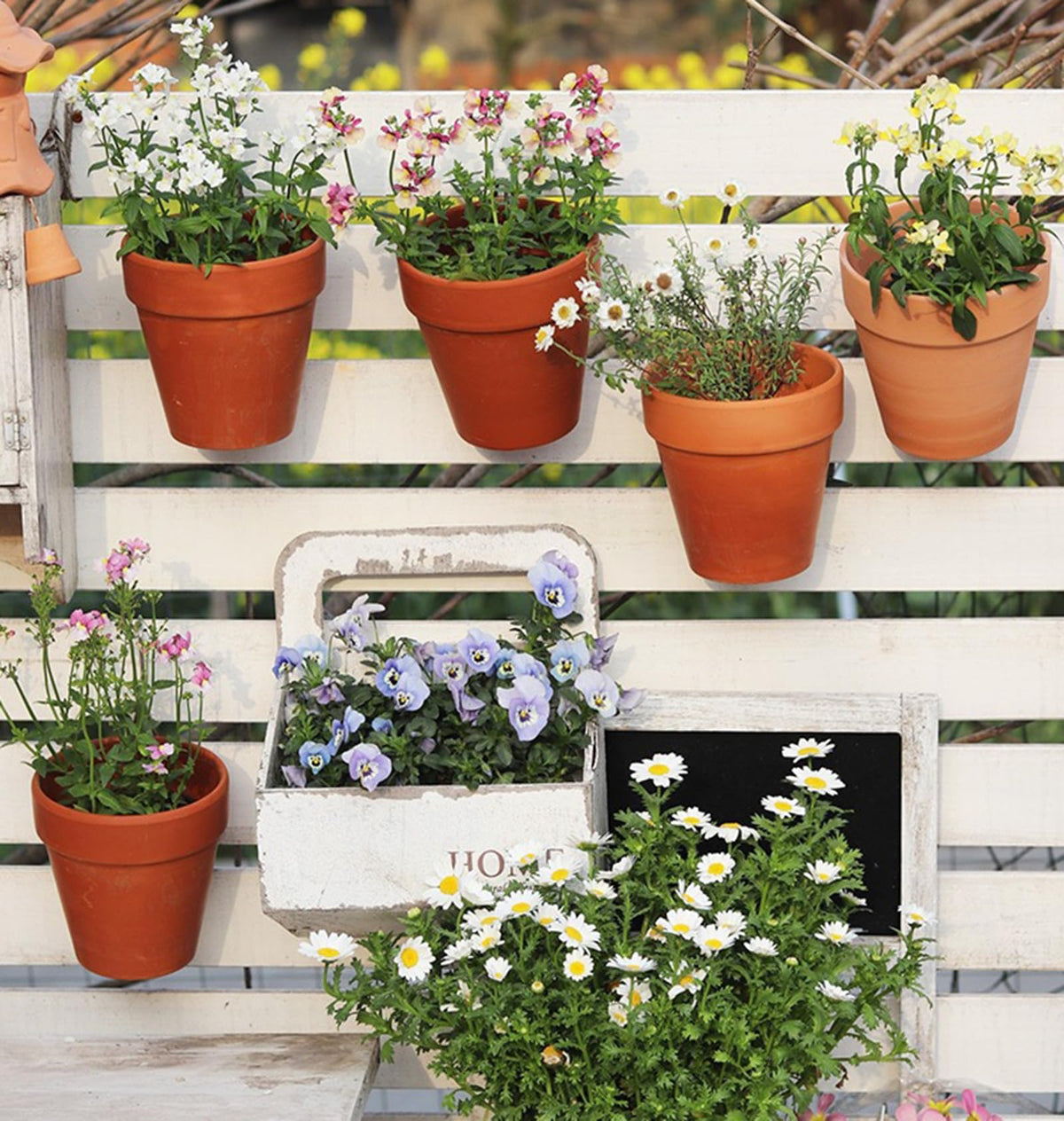 Tosnail pot clip set ideal for balcony or backyard displays.