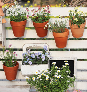 Tosnail pot clip set ideal for balcony or backyard displays.