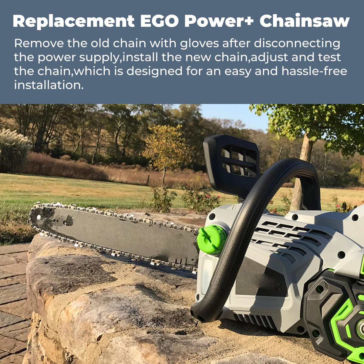 TOSRWGLL AC1600 16-inch chain fits CS1610 for clean cuts.