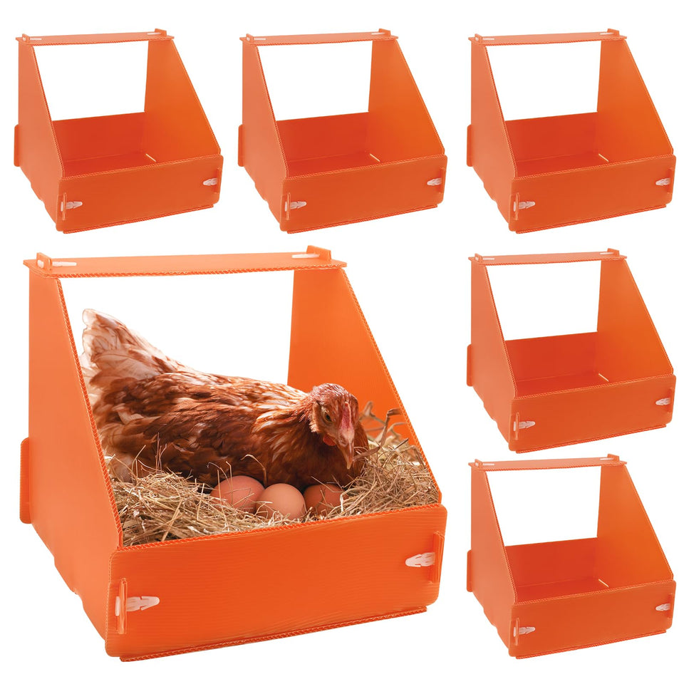 Touri 6-pack chicken nesting boxes package for simple egg-laying setup.
