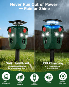 Towne Hall Farm solar panel with USB backup ensures 24/7 protection.