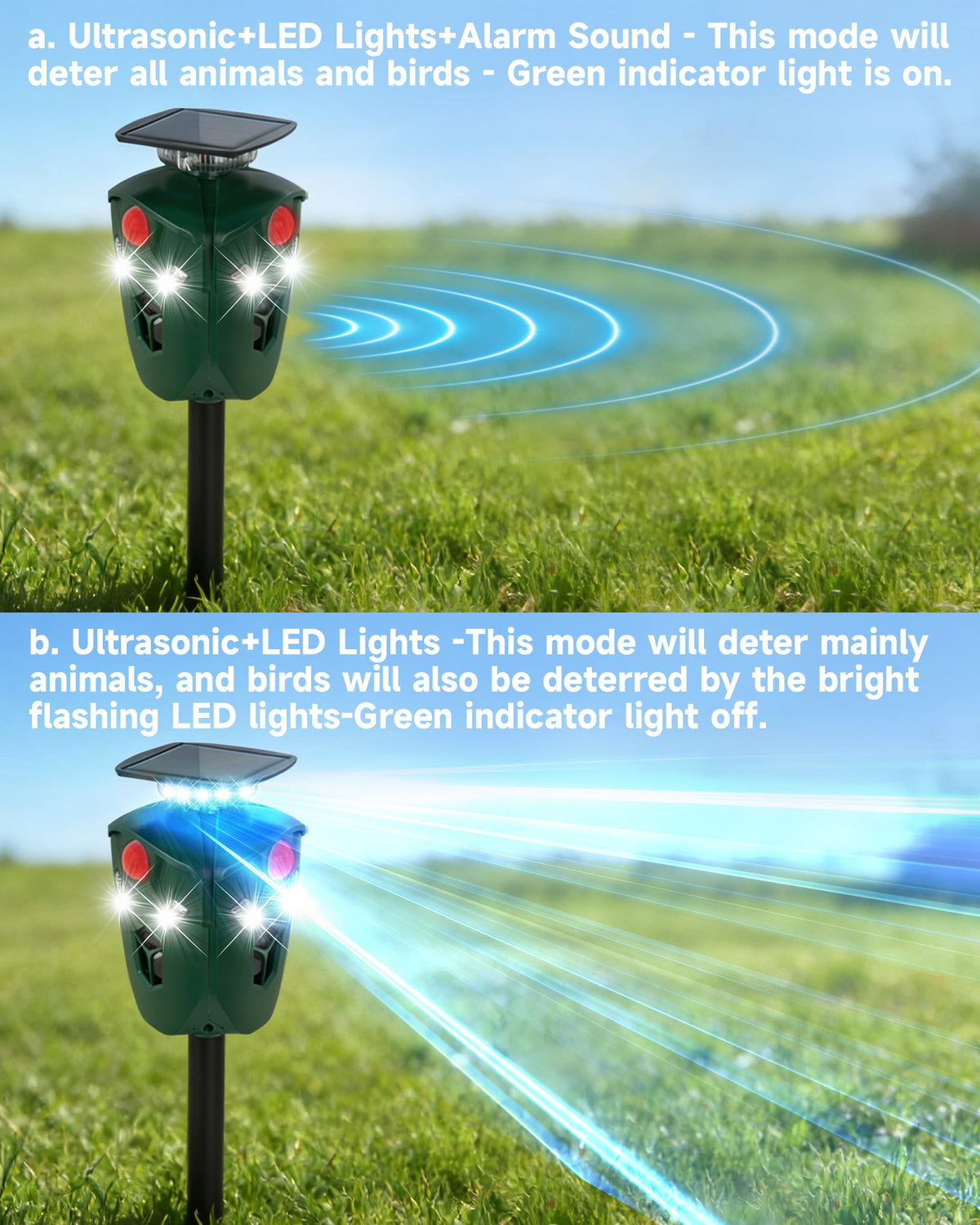 Towne Hall Farm repeller with 360° sensors detects movement up to 30 feet.