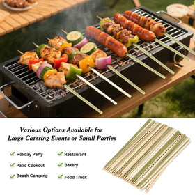 TOXINYUAN barbecue skewers for appetizers and fruit skewers