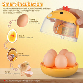 TOYANDONA automated temperature control maintains steady warmth for consistent hatch conditions.